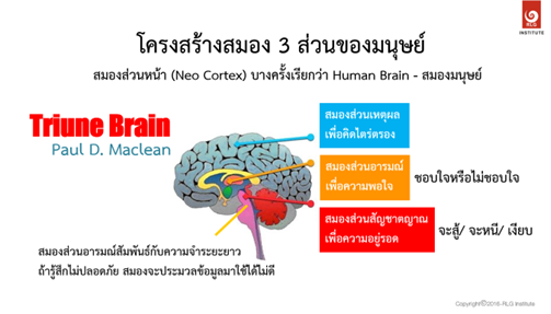 สมอง 3 ส่วนที่พ่อแม่ผู้ปกครองต้องรู้ เพื่อช่วยดูแลพฤติกรรมเด็ก -